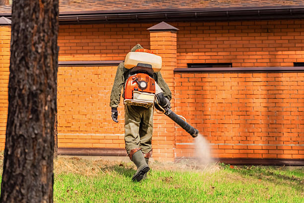 Bed Bug Clearance Verification and Documentation in Hazel Dell